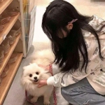 不朽之城破解版下载